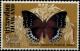 Colnect-5671-255-Chestnut-Rajah-Charaxes-durnfordi.jpg