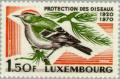Colnect-134-200-Goldcrest-Regulus-regulus.jpg