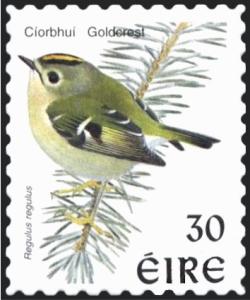 Colnect-1813-203-Goldcrest-Regulus-regulus.jpg