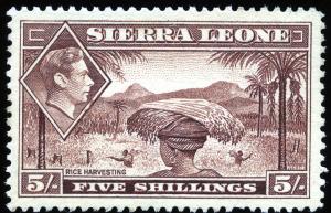 Colnect-1234-391-Rice-Harvesting.jpg