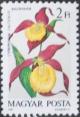 Colnect-605-476-Cypripedium-calceolus.jpg