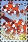 Colnect-4391-156-Harlequin-sweet-lips.jpg