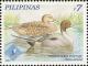 Colnect-2875-846-Northern-Pintail-Anas-acuta.jpg