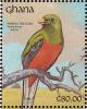 Colnect-1459-780-Narina-Trogon%C2%A0Apaloderma-narina.jpg