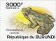 Colnect-3821-573-Rwanda-River-Frog-Phrynobatrachus-versicolor.jpg