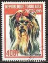 Colnect-1278-239-Yorkshire-Terrier-Canis-lupus-familiaris.jpg
