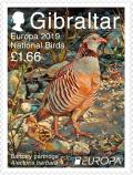 Colnect-5577-088-Barbary-Partridge-Alectoris-barbara.jpg