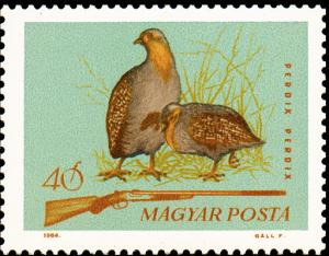 Colnect-877-144-Grey-Partridge-Perdix-perdix.jpg