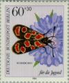 Colnect-155-547-Crepuscular-Burnet-Agrumenia-carniolica-Gypsy--s-Rose-Kna.jpg