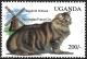 Colnect-5294-819-Norwegian-Forest-Cat.jpg