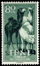 Colnect-1365-263-Dromedary-Camelus-dromedarius.jpg