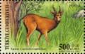 Colnect-965-320-Roe-deer-Capreolus-capreolus.jpg