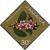 Colnect-2248-930-Samyda-pubescens.jpg