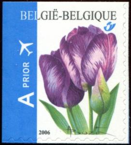 Colnect-5720-308-Rembrandt-Tulip-Self-adhesive---top--left-imperf.jpg