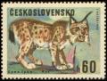 Colnect-438-545-Eurasian-Lynx-Lynx-lynx.jpg