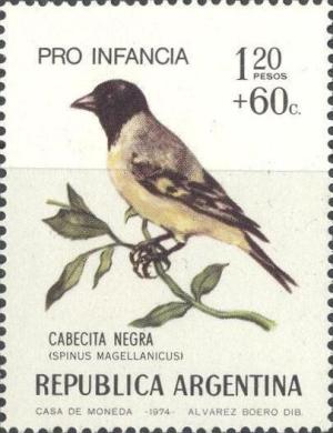 Colnect-1590-311-Hooded-Siskin-Spinus-magellanicus.jpg