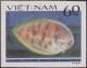 Colnect-1495-318-Oriental-Sole-Brachirus-orientalis.jpg
