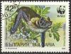 Colnect-1107-635-Vespertilio-murinus.jpg