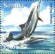 Colnect-3617-146-Spinner-Dolphin.jpg