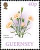 Colnect-5583-784-Spray-Carnation.jpg