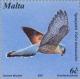 Colnect-131-466-Common-Kestrel-Falco-tinnunculus.jpg