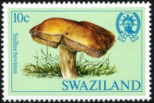 Colnect-2579-922-Suillus-bovinus.jpg