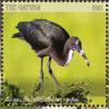 Colnect-5033-989-Glossy-Ibis-----Plegadis-falcinellus.jpg
