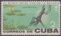 Colnect-1414-567-Anopheles-Mosquito-Anopheles-sp.jpg