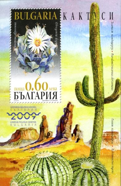 BG028MS.09.jpg