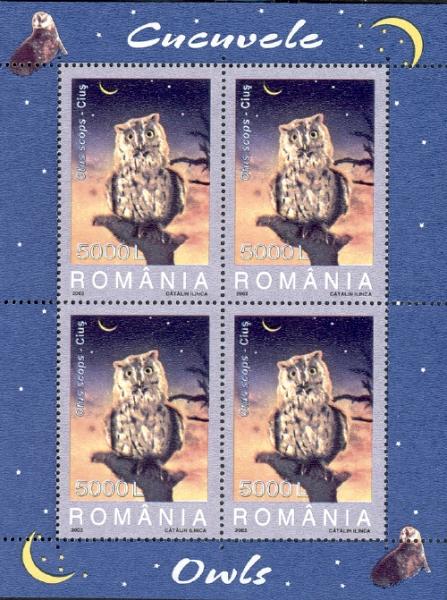 RO029MS.03.jpg