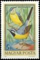Colnect-893-977-Grey-Wagtail-Motacilla-cinerea.jpg