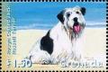 Colnect-4611-789-Rough-coated-Jack-Russell-terrier.jpg