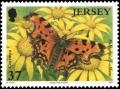 Colnect-5154-164-Comma-Butterfly-Polygonia-c-album.jpg