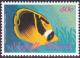 Colnect-2502-141-Raccoon-Butterflyfish-Chaetodon-lunula.jpg