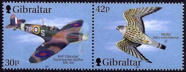 Colnect-3266-596-Spitfire---Male-Merlin.jpg