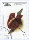 Colnect-1230-440-Anthurium-andraeanum.jpg