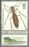 Colnect-2606-231-Flightless-Moth-Dimorphynoctua-cunhaensis.jpg