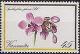 Colnect-1230-378-Spathoglottis-plicata.jpg