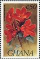 Colnect-2386-360-Spathodea-Campanulata.jpg