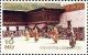 Colnect-3375-601-Thimphu-Tshechu.jpg