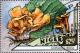 Colnect-4104-020-Cantharellus-cibarius.jpg