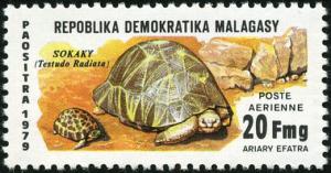 Colnect-3932-243-Radiated-Tortoise-Testudo-radiata.jpg