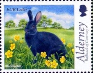 Colnect-4427-155-Black-Rabbit-Oryctolagus-cuniculus-forma-domestica.jpg