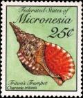 Colnect-2758-631-Triton-s-Trumpet-Charonia-tritonis.jpg