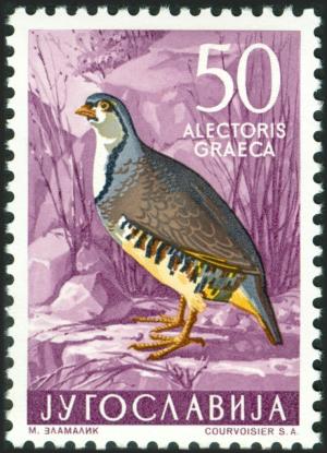 Colnect-5663-488-Rock-Partridge-Alectoris-graeca.jpg