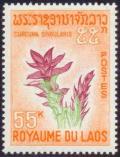 Colnect-242-281-Turmeric-Flower.jpg