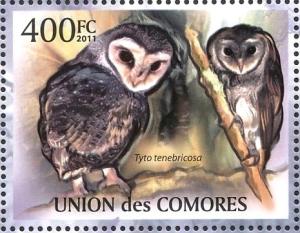 Colnect-3669-349-Lesser-Sooty-Owl%C2%A0Tyto-multipunctata.jpg
