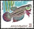 Colnect-4140-247-Crescent-Betta-Betta-imbellis.jpg