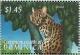 Colnect-3253-458-Ocelot-Leopardus-pardalis.jpg