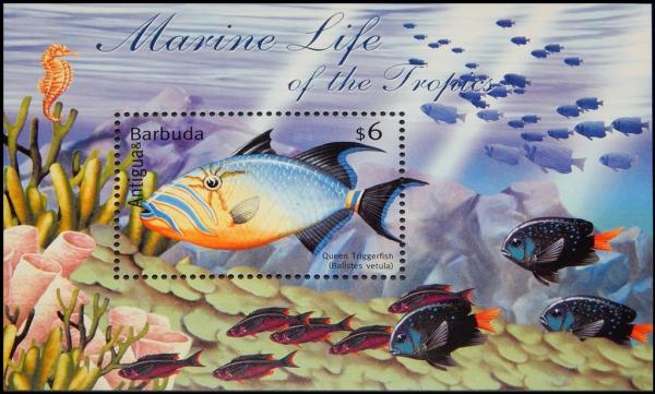 Colnect-3930-030-Queen-triggerfish.jpg